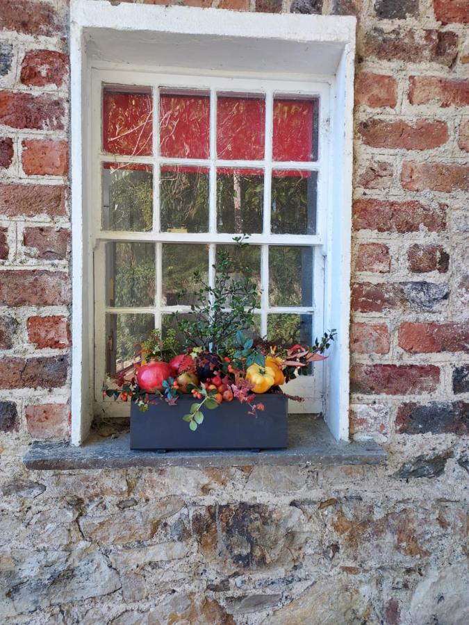 Lynam Cottage Ashford Exterior foto